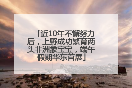 近10年不懈努力后，上野成功繁育两头非洲象宝宝，端午假期华东首展