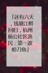 还有六天，钱塘江鲜回归，杭州杨公社区渔民：第一波盼刀鱼