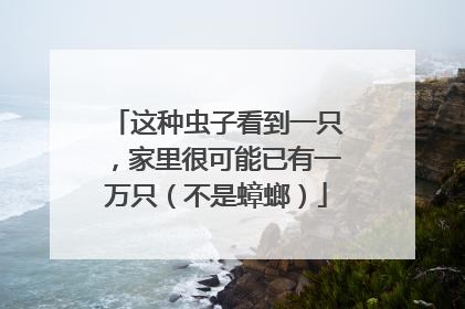 这种虫子看到一只，家里很可能已有一万只（不是蟑螂）