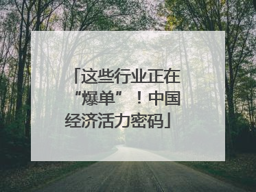 这些行业正在“爆单”！中国经济活力密码