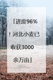 进度96%！河北小麦已收获3000余万亩