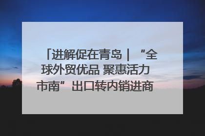 进解促在青岛｜“全球外贸优品 聚惠活力市南”出口转内销进商超专场活动启动