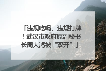 违规吃喝、违规打牌！武汉市政府原副秘书长周大鸿被“双开”