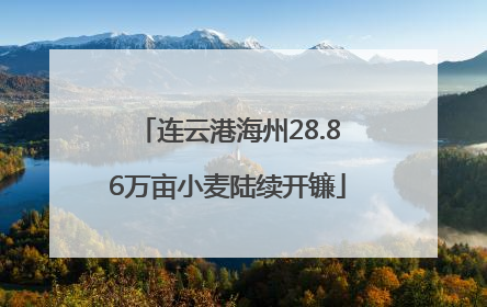 连云港海州28.86万亩小麦陆续开镰