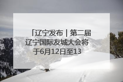 辽宁发布｜第二届辽宁国际友城大会将于6月12日至13日在沈阳举办