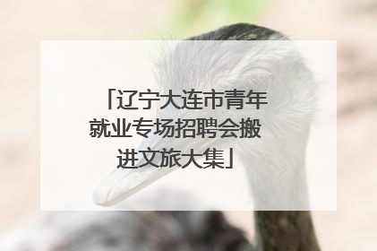辽宁大连市青年就业专场招聘会搬进文旅大集