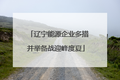 辽宁能源企业多措并举备战迎峰度夏
