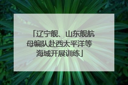 辽宁舰、山东舰航母编队赴西太平洋等海域开展训练