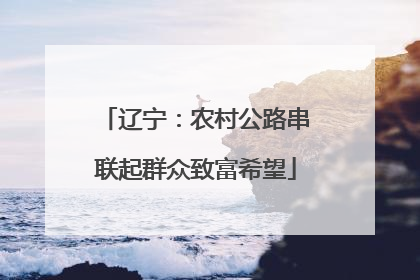 辽宁：农村公路串联起群众致富希望