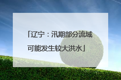 辽宁：汛期部分流域可能发生较大洪水