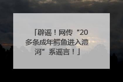 辟谣！网传“20多条成年鳄鱼进入澧河”系谣言！