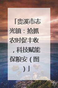 贵溪市志光镇：抢抓农时促丰收，科技赋能保粮安（图）