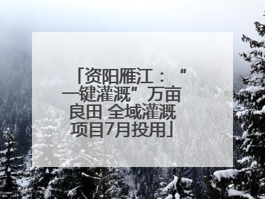 资阳雁江：“一键灌溉”万亩良田 全域灌溉项目7月投用