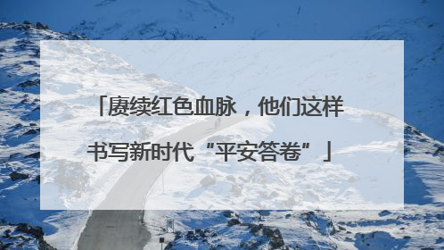 赓续红色血脉，他们这样书写新时代“平安答卷”