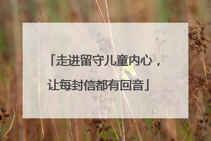 走进留守儿童内心，让每封信都有回音