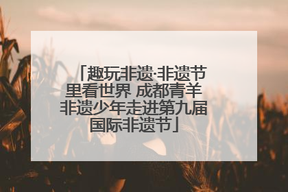 趣玩非遗·非遗节里看世界 成都青羊非遗少年走进第九届国际非遗节