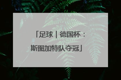 足球｜德国杯：斯图加特队夺冠