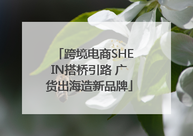 跨境电商SHEIN搭桥引路 广货出海造新品牌