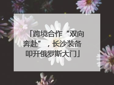 跨境合作“双向奔赴”，长沙装备叩开俄罗斯大门