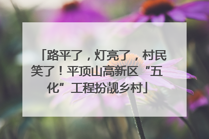路平了，灯亮了，村民笑了！平顶山高新区“五化”工程扮靓乡村