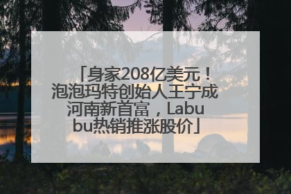 身家208亿美元！泡泡玛特创始人王宁成河南新首富，Labubu热销推涨股价