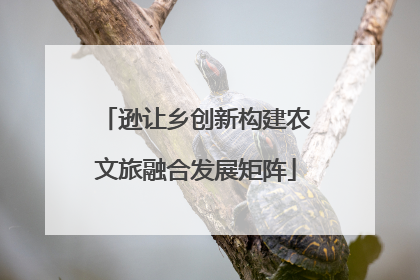 逊让乡创新构建农文旅融合发展矩阵