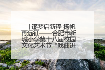 逐梦启新程 扬帆再远征——合肥市新城小学第十八届校园文化艺术节“戏曲进校园专场演出”