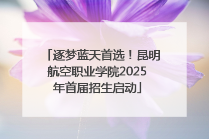 逐梦蓝天首选！昆明航空职业学院2025年首届招生启动