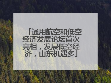 通用航空和低空经济发展论坛首次亮相，发展低空经济，山东机遇多