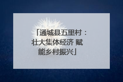 通城县五里村：壮大集体经济 赋能乡村振兴