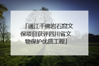 通江千佛岩石窟文保项目获评四川省文物保护优质工程