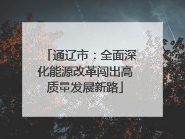 通辽市：全面深化能源改革闯出高质量发展新路