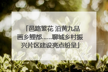 邑路繁花 沿黄九品 画乡鲤都……聊城乡村振兴片区建设亮点纷呈