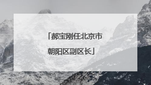郝宝刚任北京市朝阳区副区长