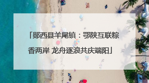 郧西县羊尾镇：鄂陕互联粽香两岸 龙舟逐浪共庆端阳