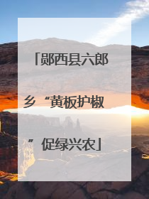 郧西县六郎乡“黄板护椒”促绿兴农