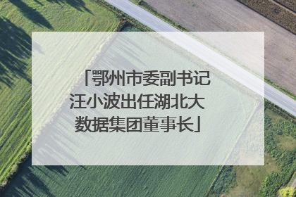 鄂州市委副书记汪小波出任湖北大数据集团董事长