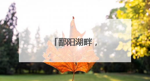 鄱阳湖畔，潮涌共青城