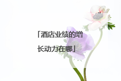 酒店业绩的增长动力在哪