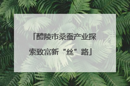 醴陵市桑蚕产业探索致富新“丝”路