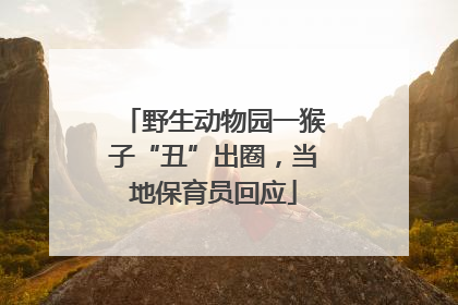 野生动物园一猴子“丑”出圈，当地保育员回应