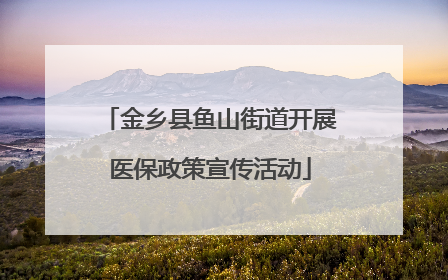 金乡县鱼山街道开展医保政策宣传活动