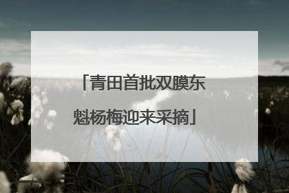 青田首批双膜东魁杨梅迎来采摘