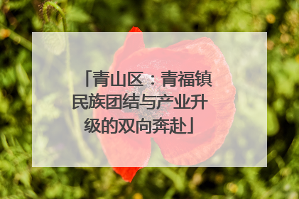 青山区：青福镇民族团结与产业升级的双向奔赴