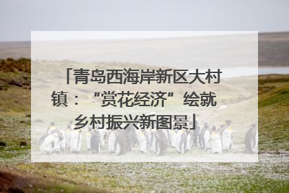 青岛西海岸新区大村镇：“赏花经济”绘就乡村振兴新图景