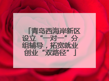 青岛西海岸新区设立“一对一”分组辅导，拓宽就业创业“双路径”