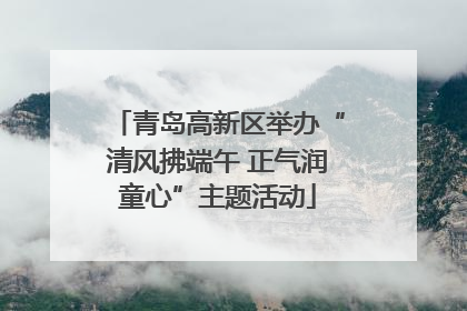 青岛高新区举办“清风拂端午 正气润童心”主题活动