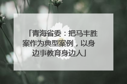 青海省委：把马丰胜案作为典型案例，以身边事教育身边人