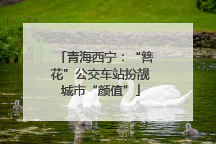 青海西宁：“簪花”公交车站扮靓城市“颜值”