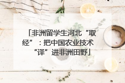 非洲留学生河北“取经”：把中国农业技术“译”进非洲田野
